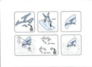 produits-protege-mains